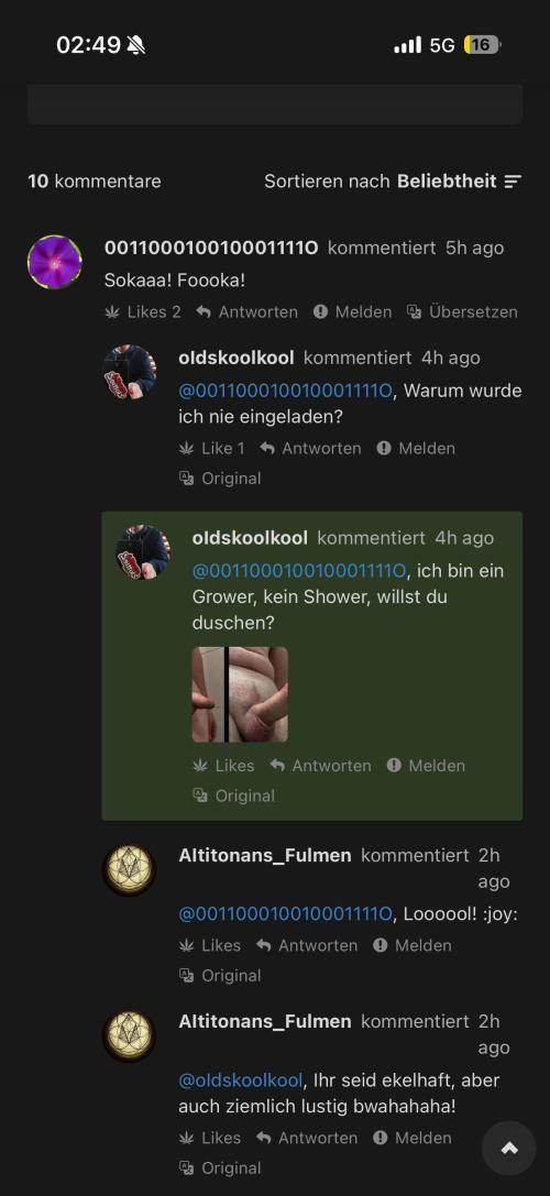 KuaerSchlaeger