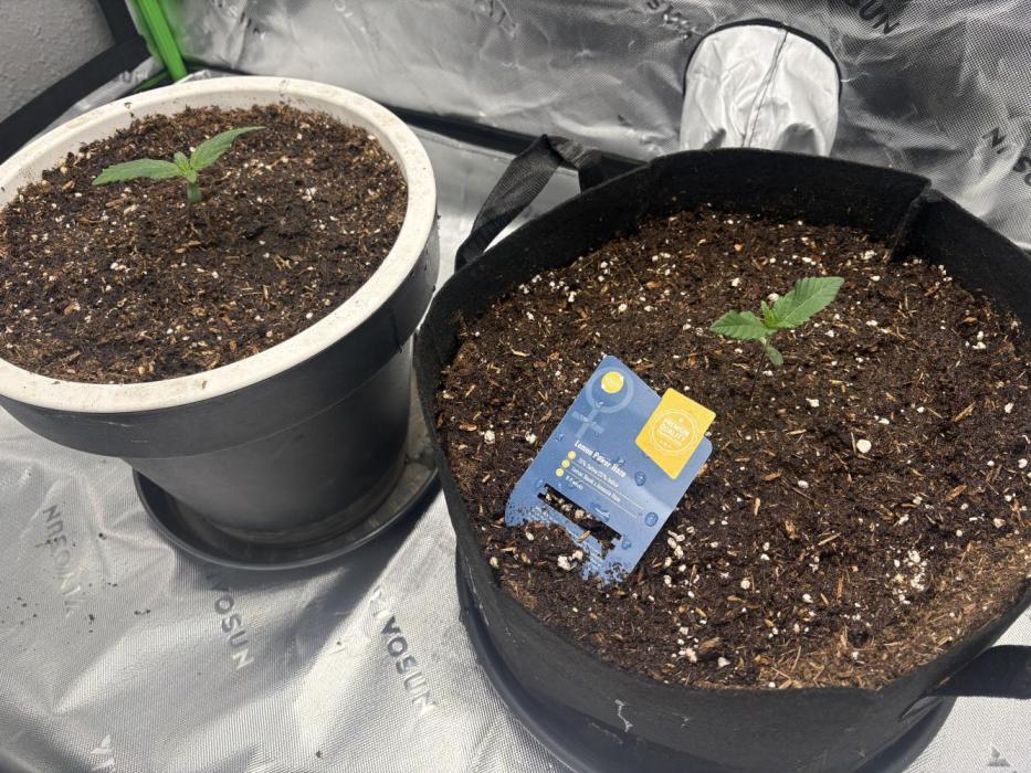 Sommer Vorbereitung. Week 1