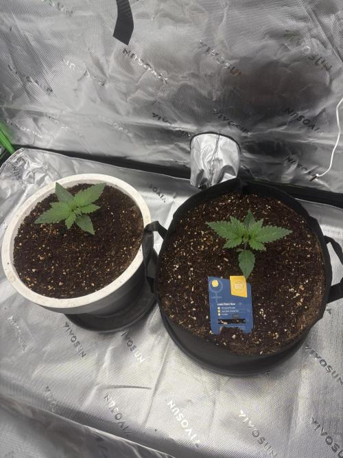 Sommer Vorbereitung. Week 3