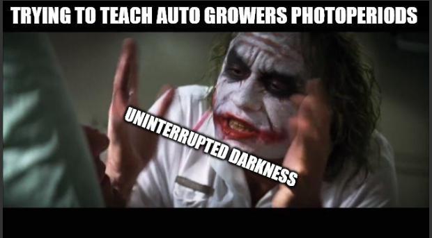 Meme by m0use