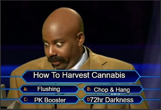 Meme by m0use