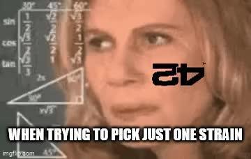 FastBuds Memes