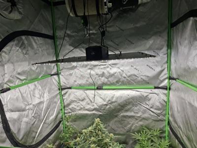 Comment by Mr_GreenEYE420 photo #1