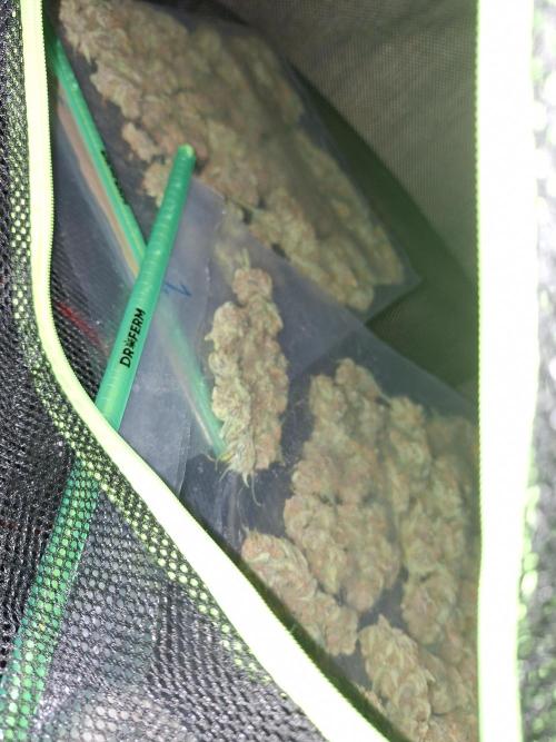 Apple Strudel 🍎🥧. Week 8