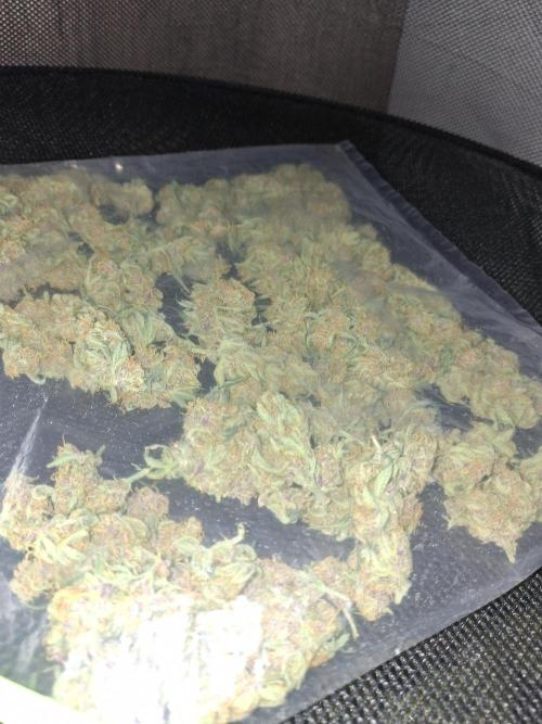 Apple Strudel 🍎🥧. Week 8