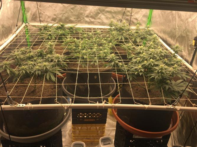 Making a driveway. Week 13