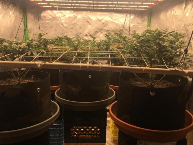 Making a driveway. Week 13