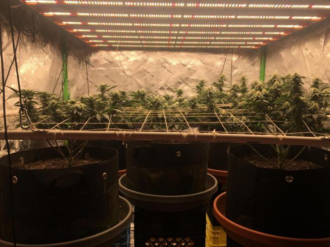 Making a driveway. Week 14