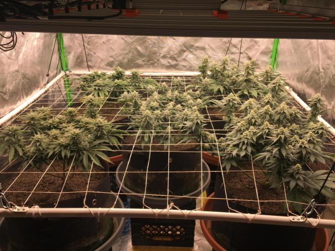 Making a driveway. Week 15