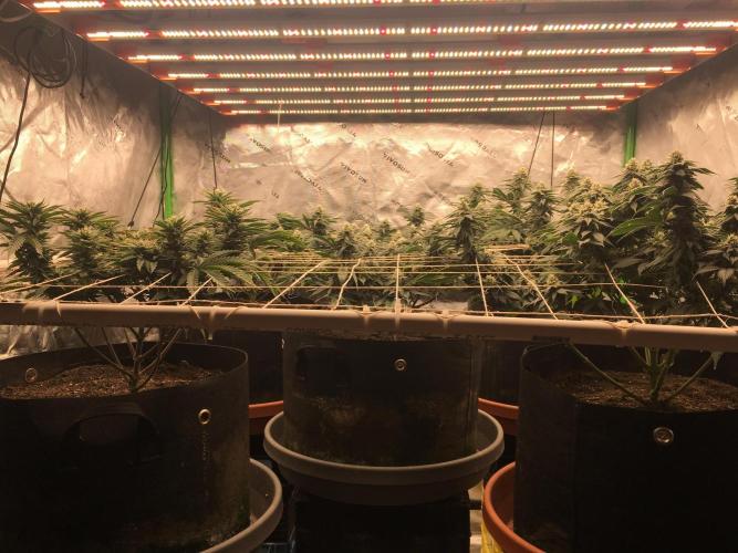 Making a driveway. Week 15