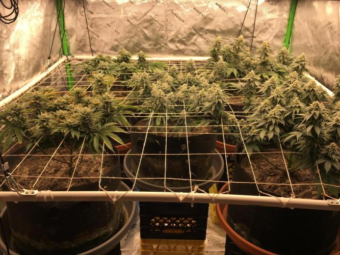 Making a driveway. Week 16