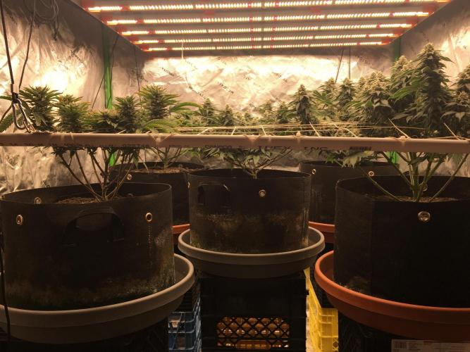 Making a driveway. Week 16