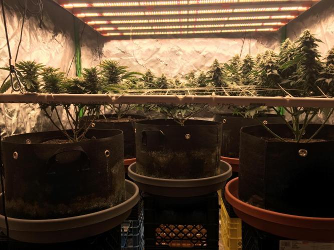 Making a driveway. Week 16