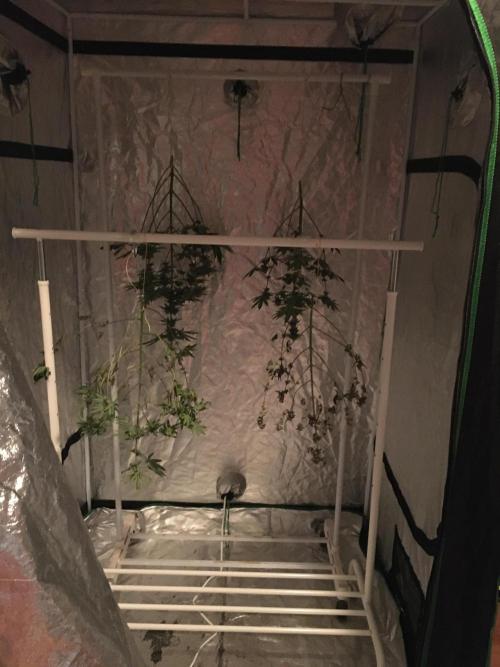 This little light of mine. Week 10