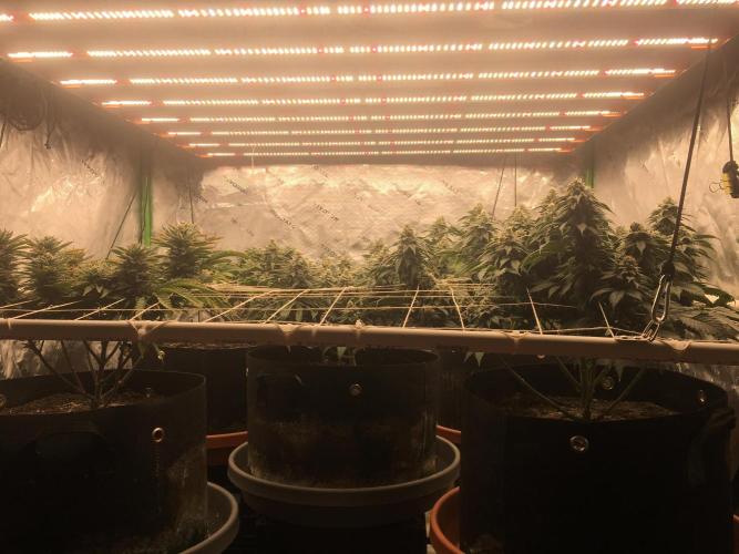 Making a driveway. Week 17