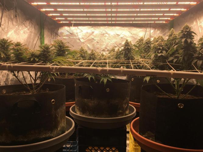 Making a driveway. Week 18