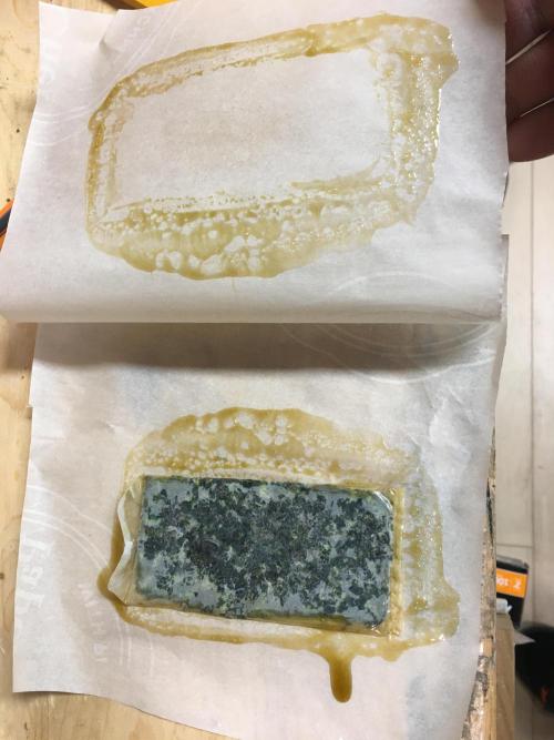 This little light of mine. Week 11