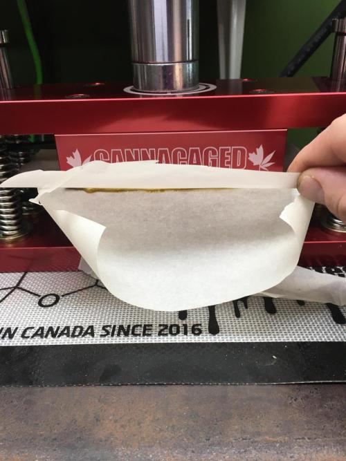 This little light of mine. Week 11