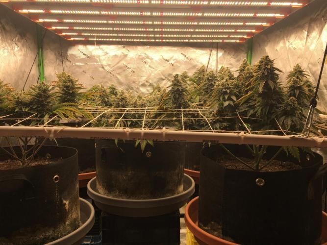 Making a driveway. Week 19