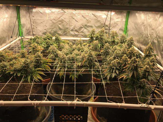 Making a driveway. Week 19