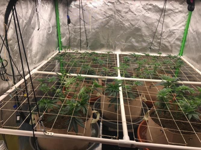 Let's Get Bombed. Week 9