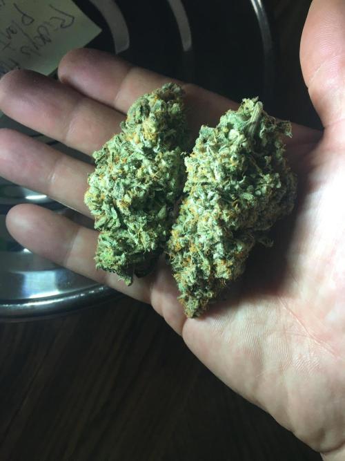 Making a driveway. Week 20