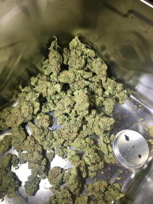 Making a driveway. Week 20