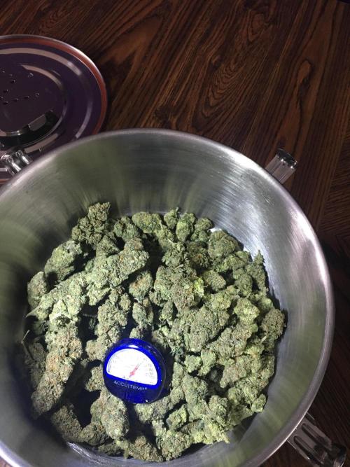 Making a driveway. Week 20