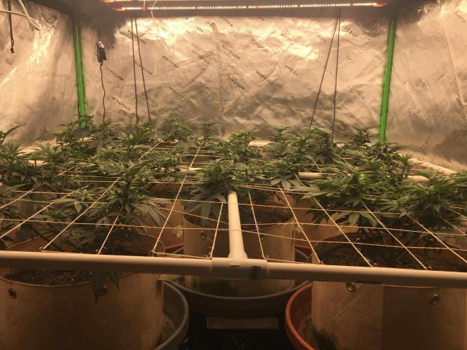 Let's Get Bombed. Week 11