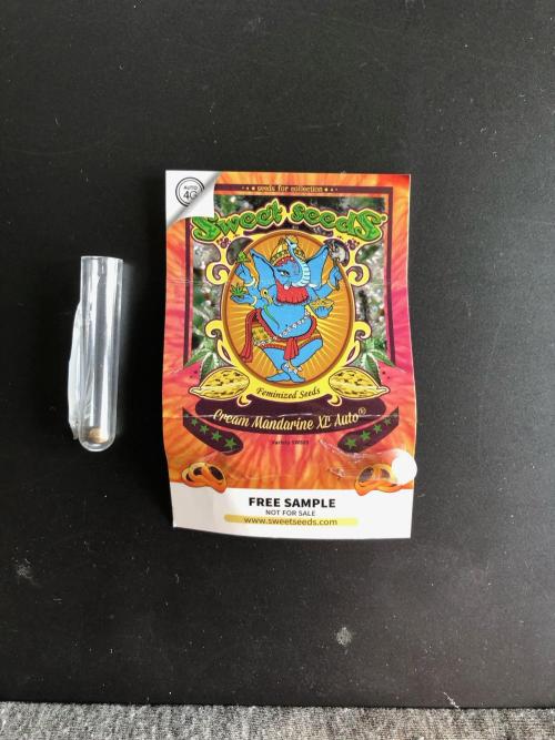 Freebie Seed. Week 0 - GD Apr 21