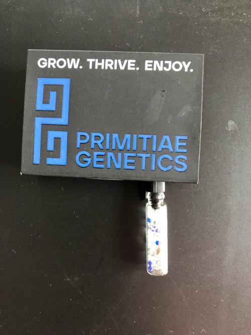 Final Primitiae Genetics Seed. Week 0