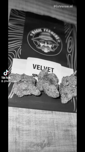 Comment by DeutschFarming2025 photo #3