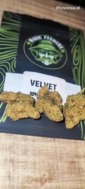 Comment by DeutschFarming2025 photo #5