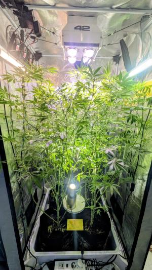 Comment by DeutschFarming2025 photo #1