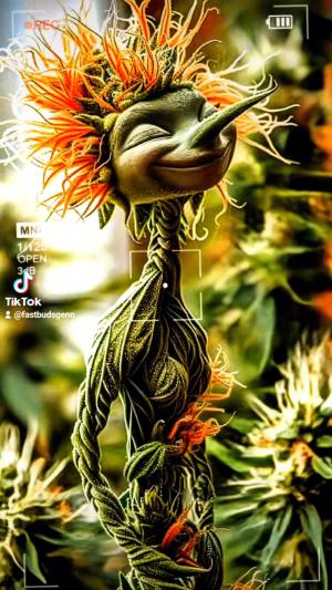 Comment by DeutschFarming2025 photo #1