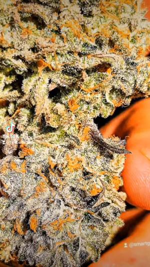 Comment by DeutschFarming2025 photo #1