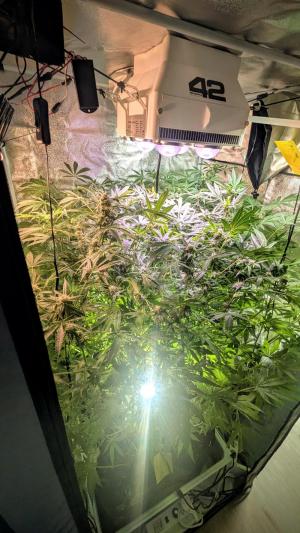 Comment by DeutschFarming2025 photo #1