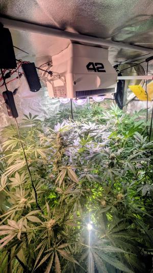 Comment by DeutschFarming2025 photo #2