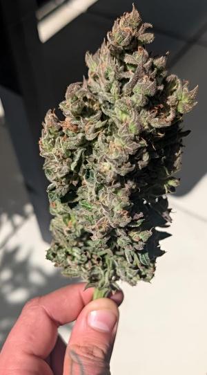 Comment by DeutschFarming2025 photo #1