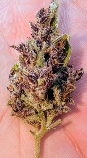 Comment by DeutschFarming2025 photo #2