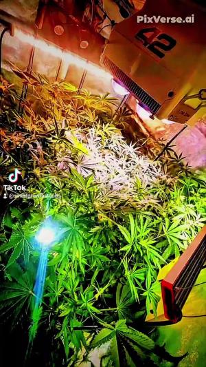 Comment by DeutschFarming2025 photo #3