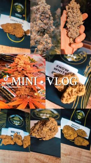 Comment by DeutschFarming2025 photo #2