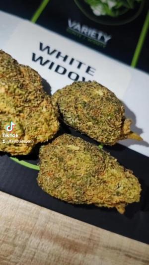 Comment by DeutschFarming2025 photo #3