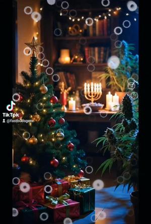 Comment by DeutschFarming2025 photo #1