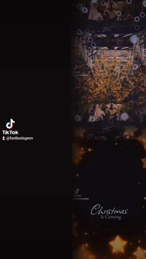 Comment by DeutschFarming2025 photo #4