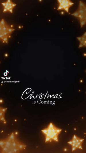 Comment by DeutschFarming2025 photo #2