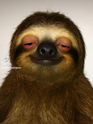 Comment by DeutschFarming2025 photo #1