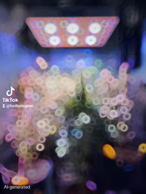 Comment by DeutschFarming2025 photo #2