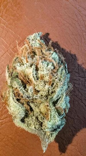 Comment by DeutschFarming2025 photo #5