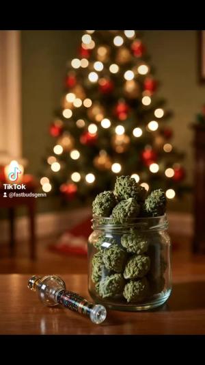 Comment by DeutschFarming2025 photo #2